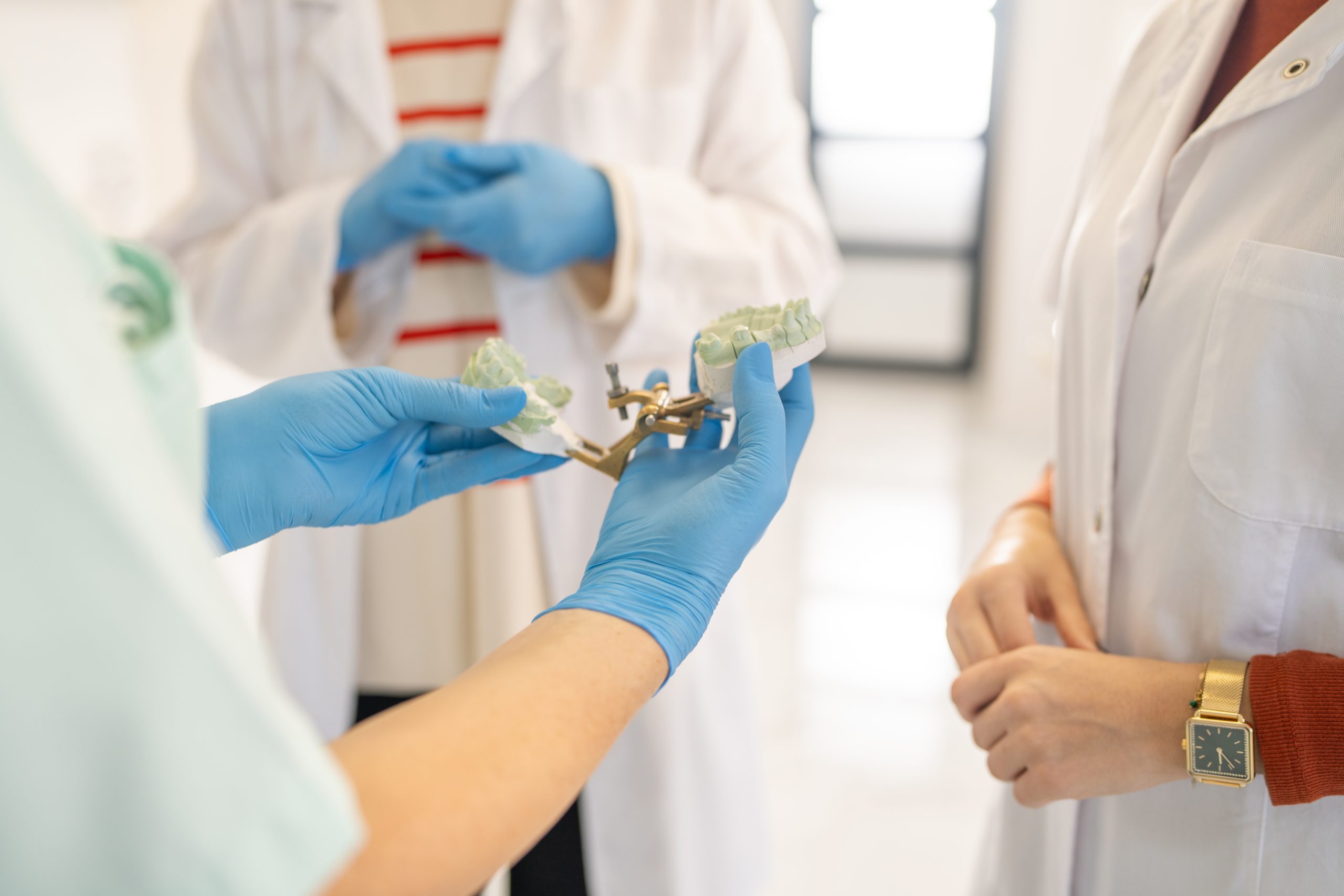 Female professor of orthodontics teaching students on tooth model